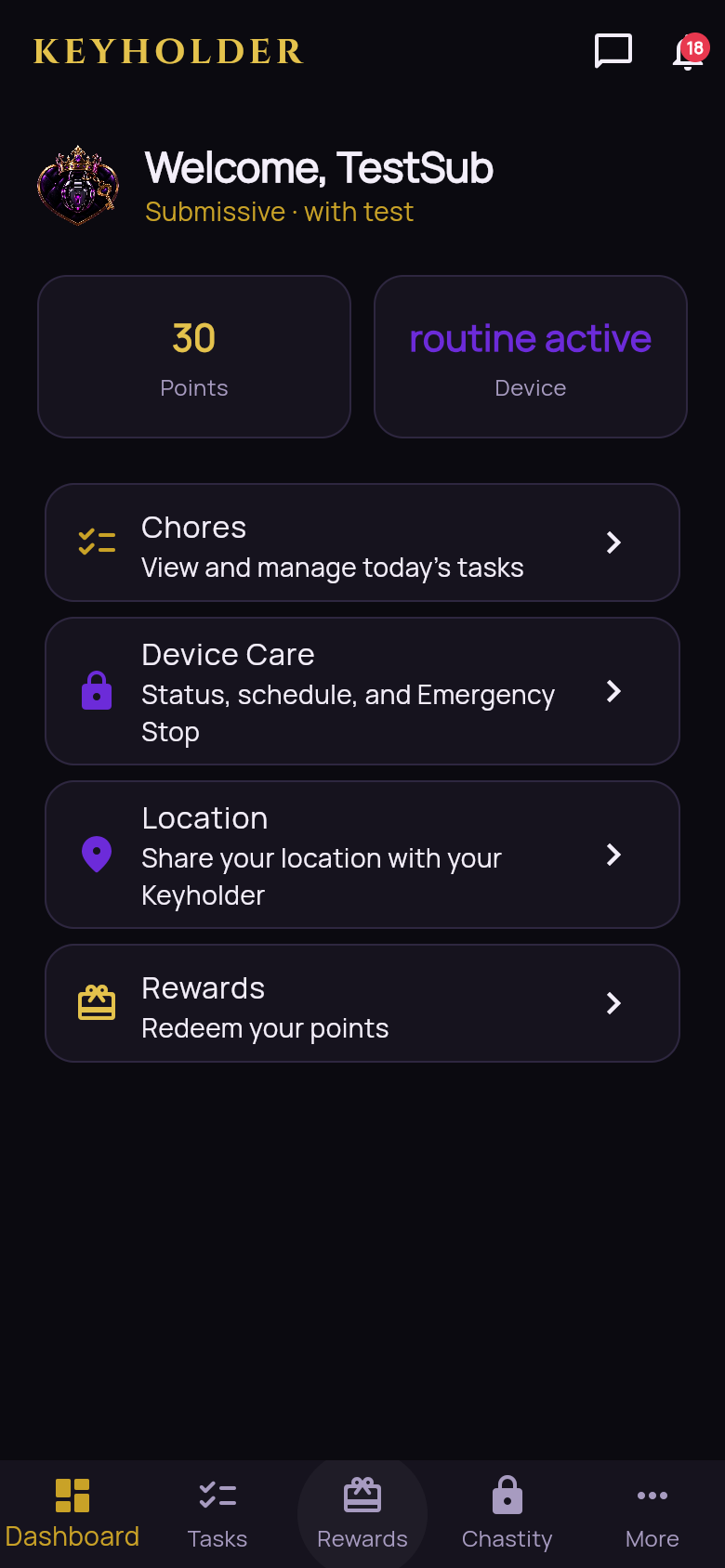 Keyholder dashboard showing points, device status, and quick links